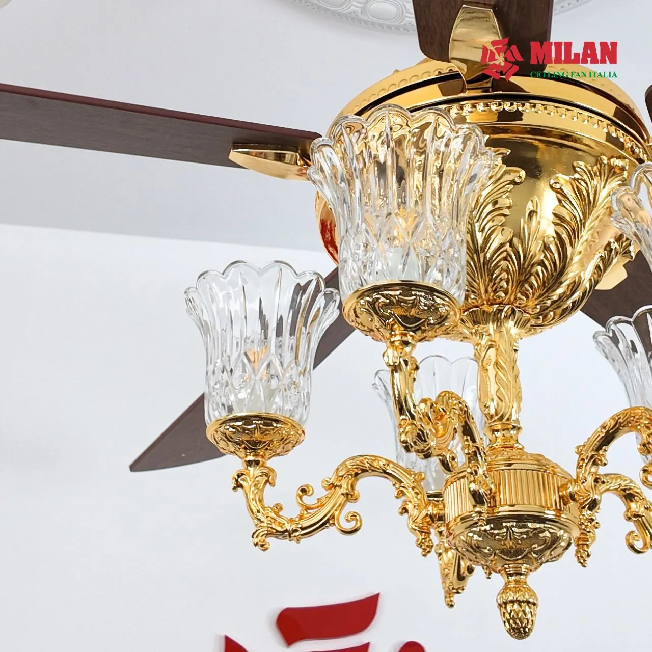 Bộ chao đèn quạt trần có đèn 5 cánh mạ vàn FY968